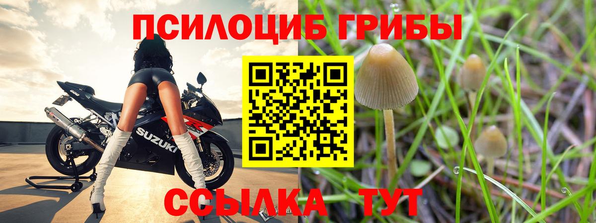 Химки  Галлюциногенные грибы ЛСД  Вход с VPN 